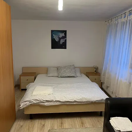 Lejlighed Under The Fig Tree Timişoara