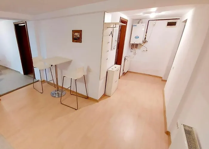 Under The Fig Tree Apartment Timişoara