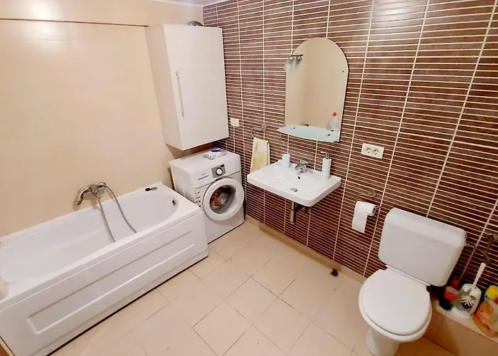 Under The Fig Tree * Timişoara