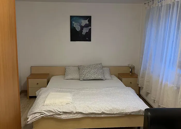 Lejlighed Under The Fig Tree Timişoara